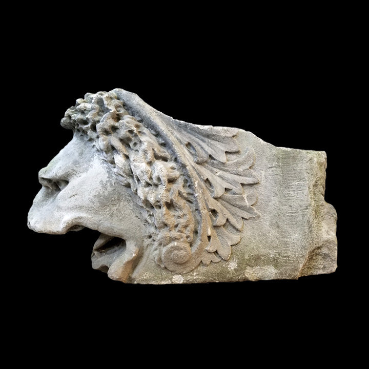 STONE LION BUST