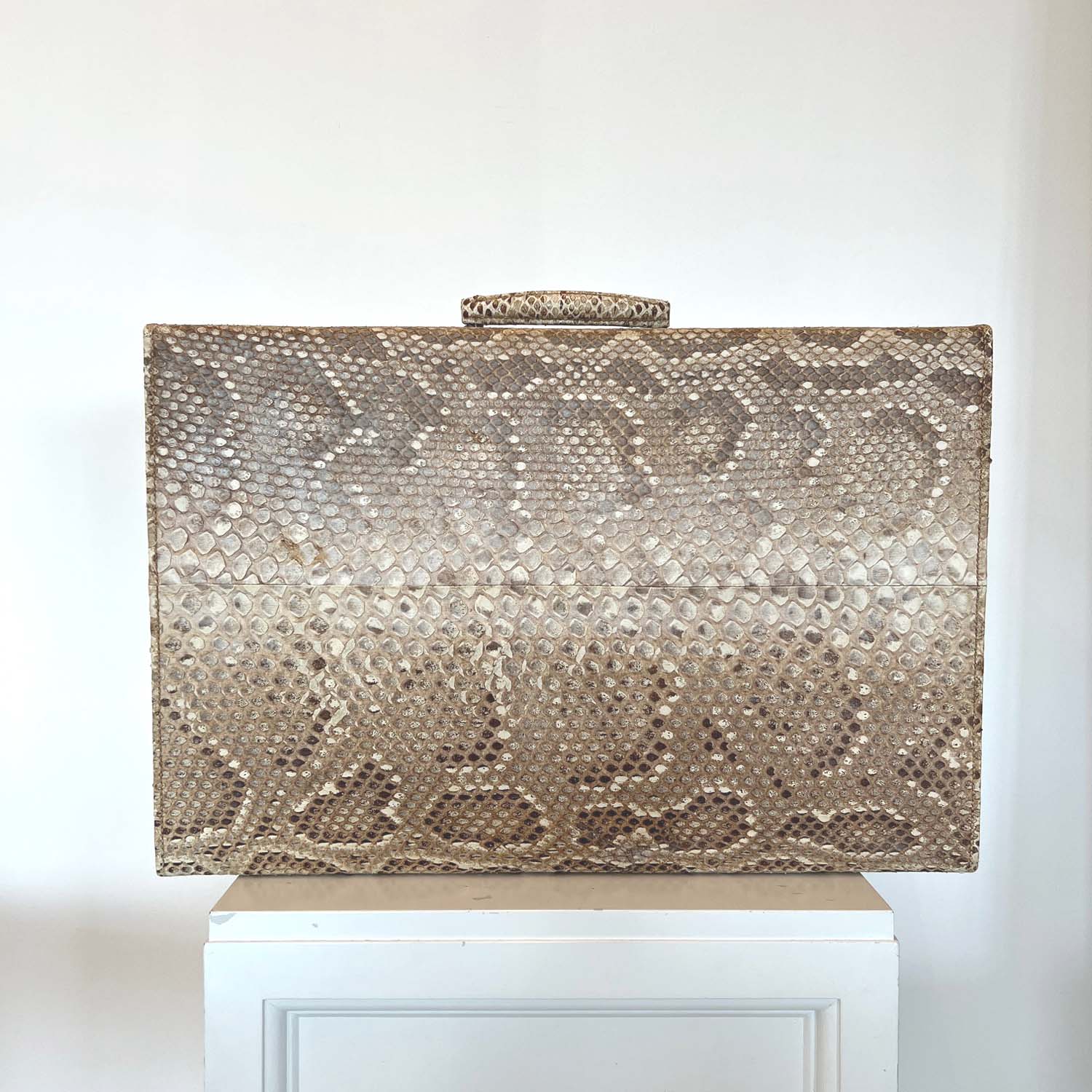 HEMINGWAY ERA SNAKESKIN SUITCASE