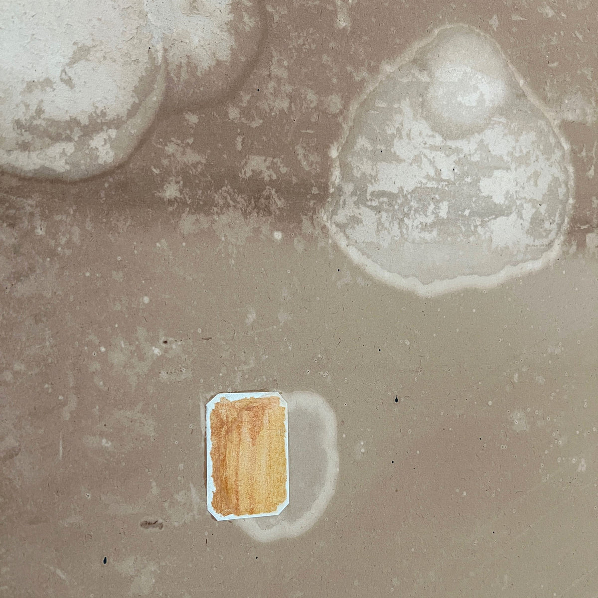 Japanese 2 Panel Screen