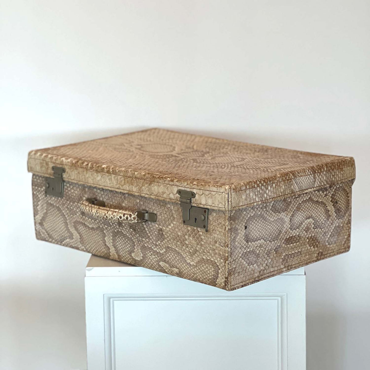 HEMINGWAY ERA SNAKESKIN SUITCASE