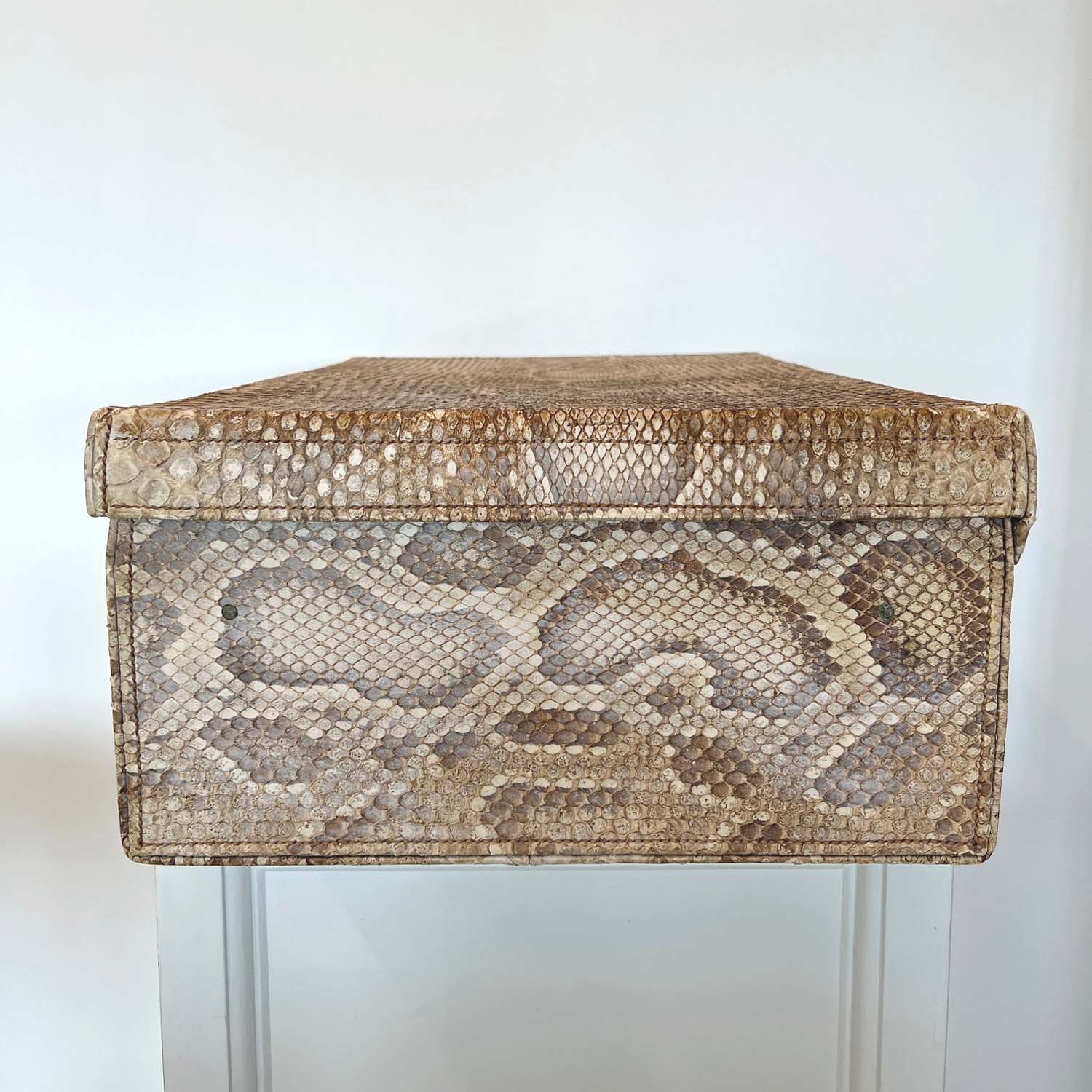 HEMINGWAY ERA SNAKESKIN SUITCASE
