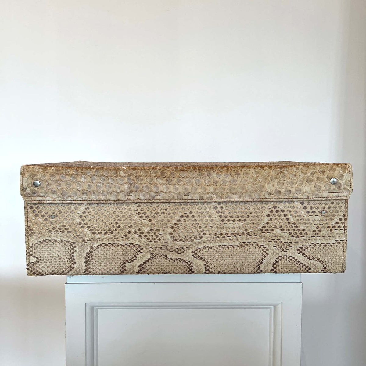 HEMINGWAY ERA SNAKESKIN SUITCASE