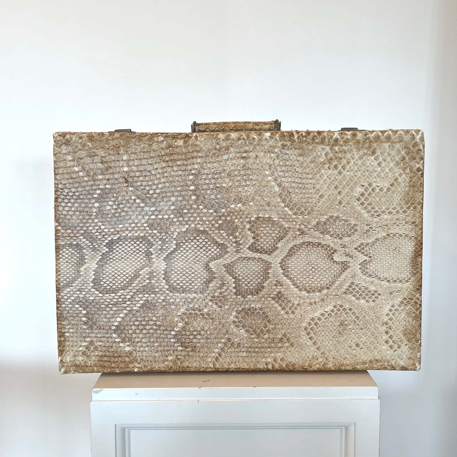 HEMINGWAY ERA SNAKESKIN SUITCASE